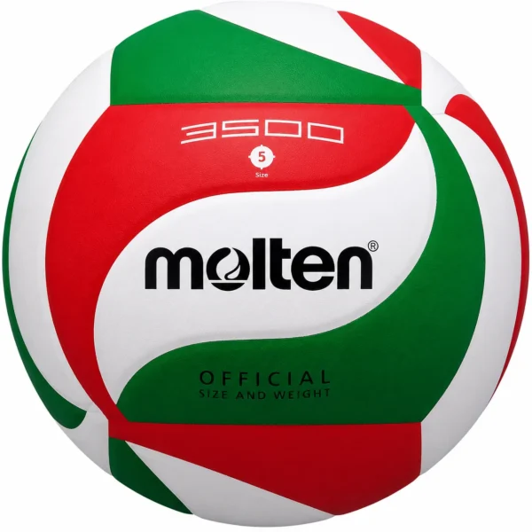 Volleyball molten